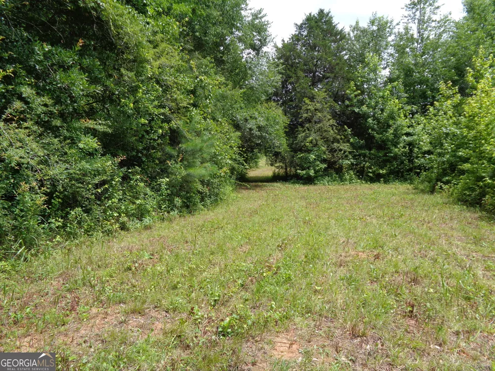2411 Kesler RD Carnesville, GA 30521