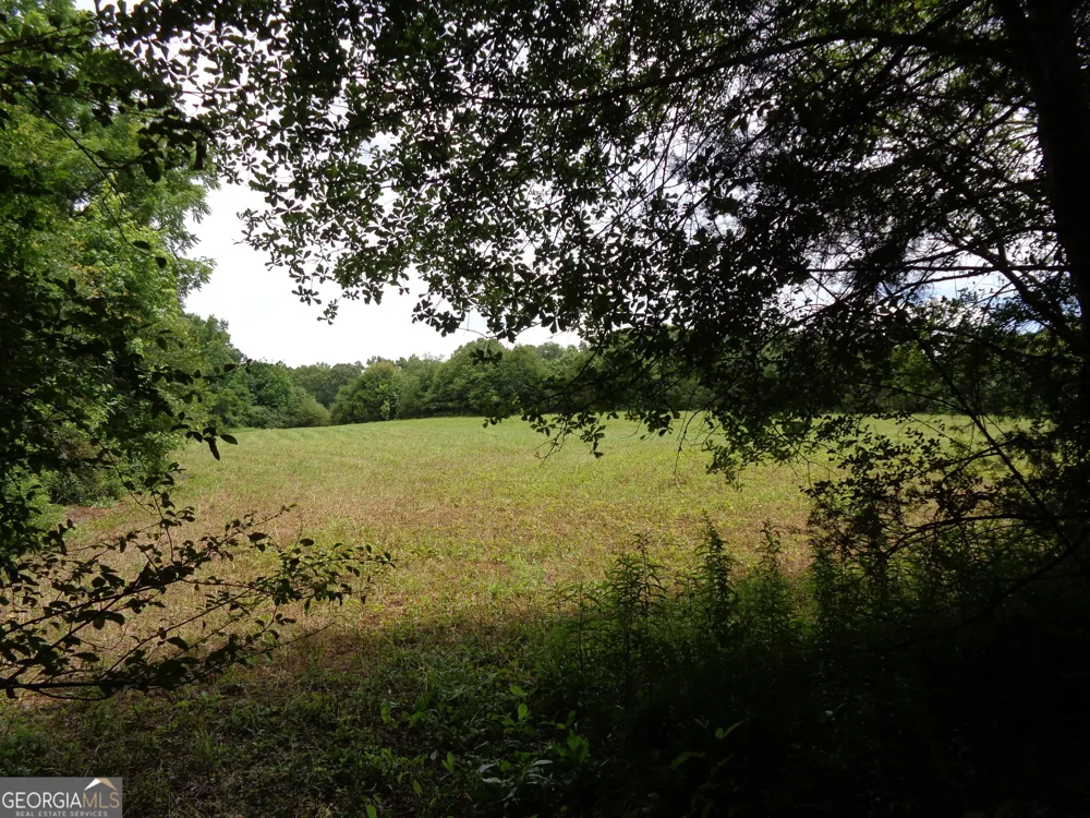 2411 Kesler RD Carnesville, GA 30521