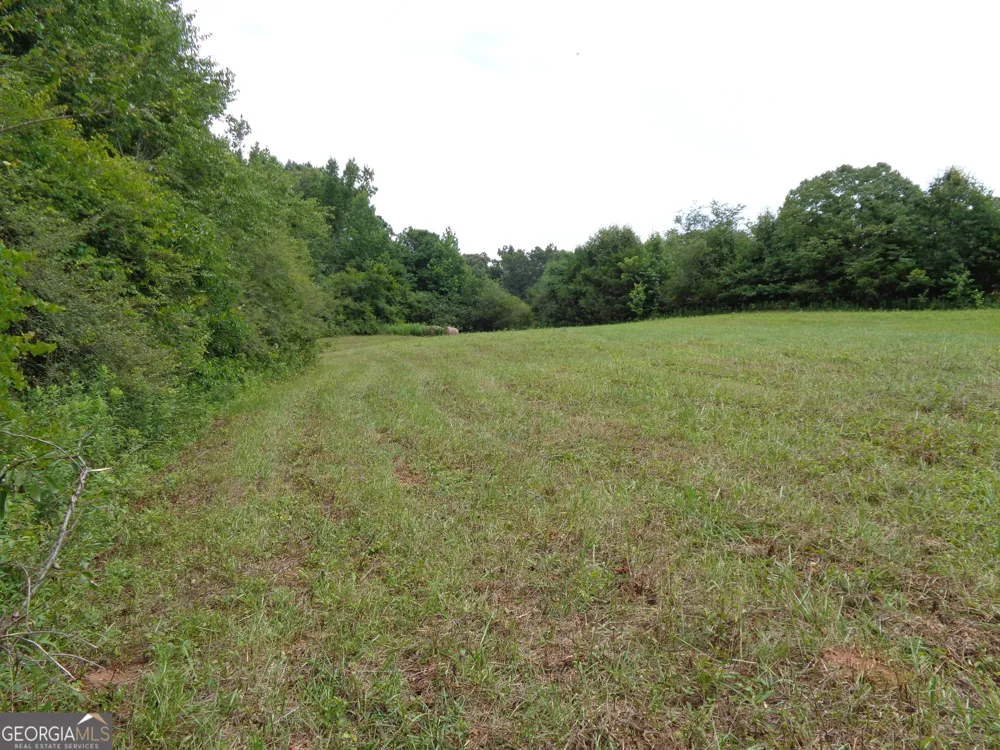 2411 Kesler RD Carnesville, GA 30521