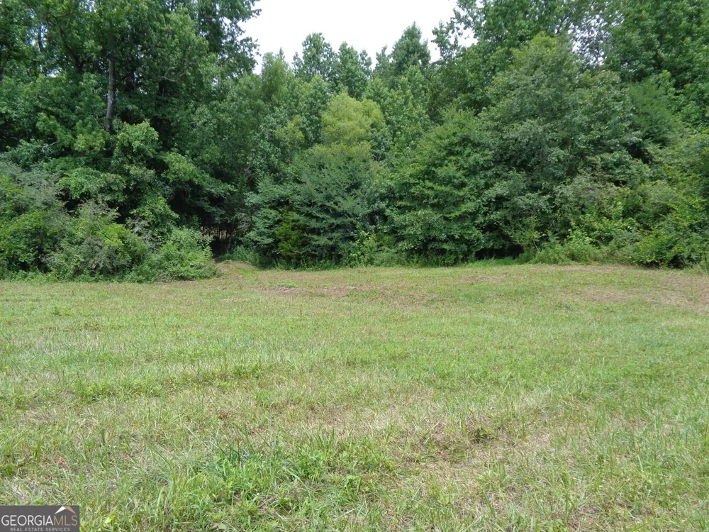 2411 Kesler RD Carnesville, GA 30521