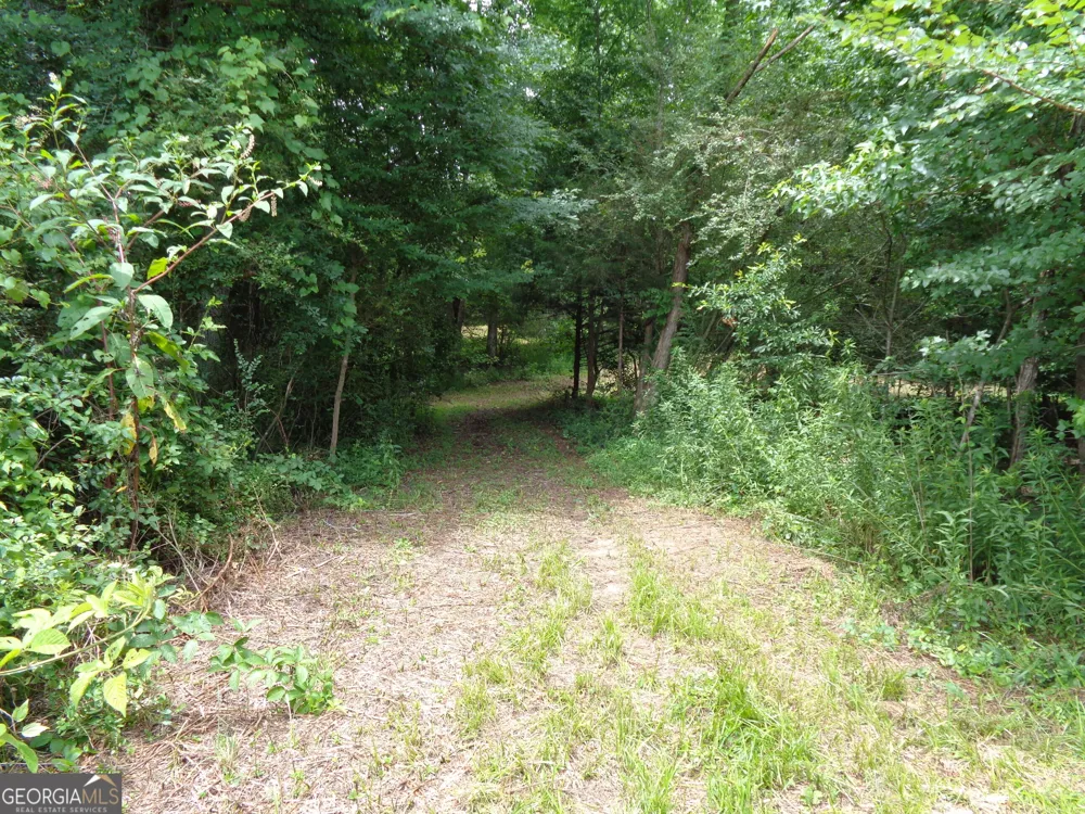 2411 Kesler RD Carnesville, GA 30521