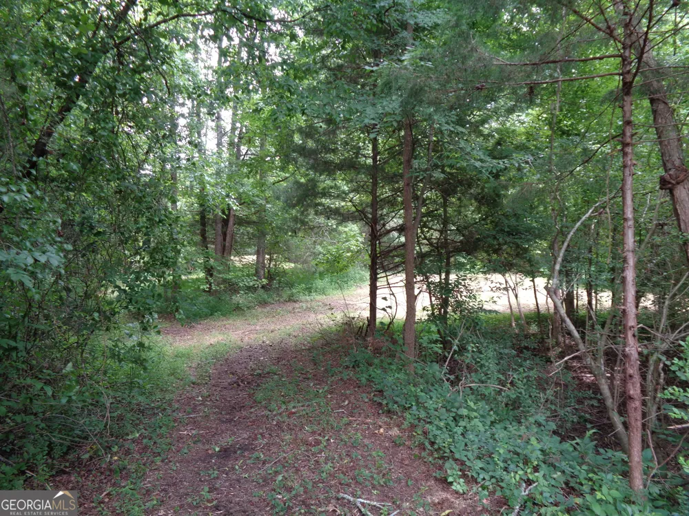 2411 Kesler RD Carnesville, GA 30521