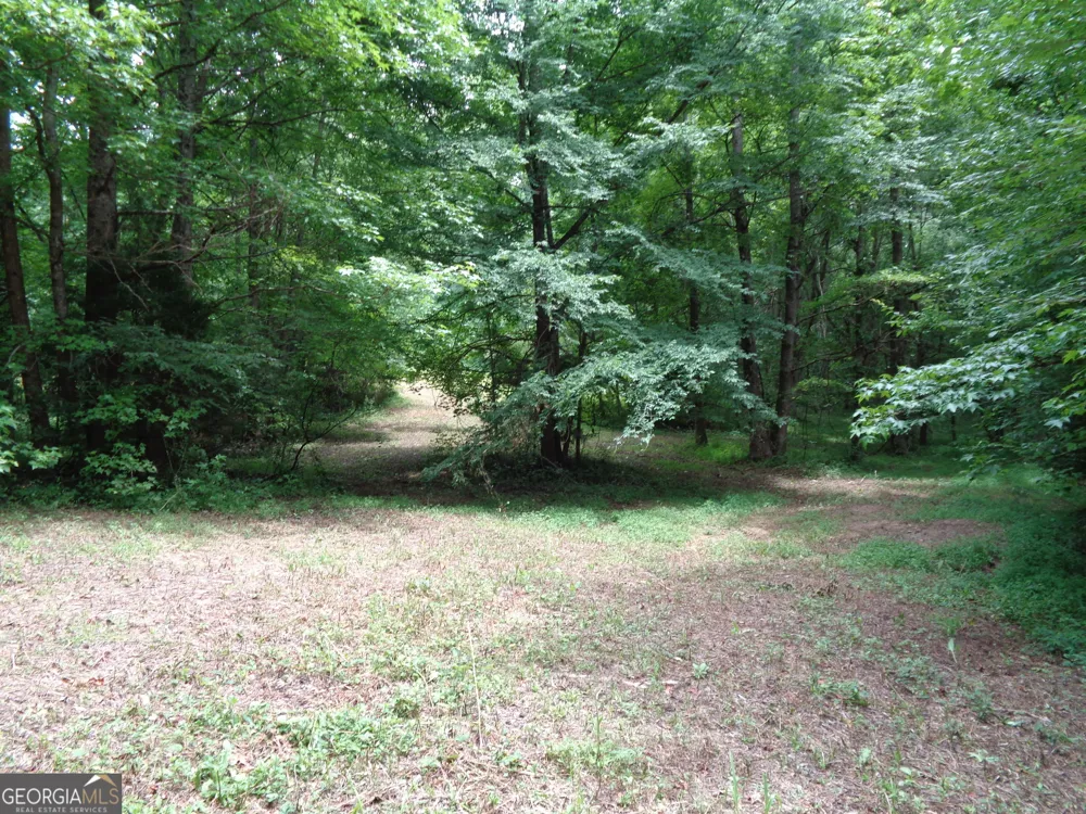 2411 Kesler RD Carnesville, GA 30521