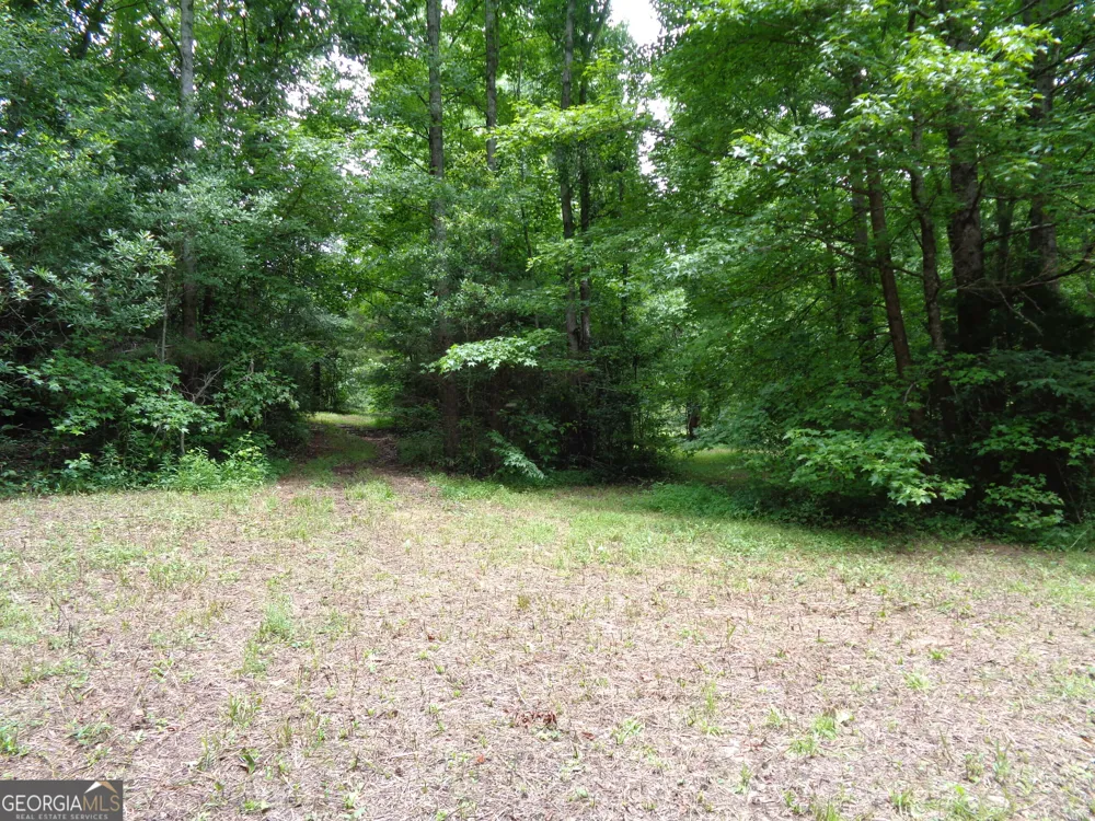 2411 Kesler RD Carnesville, GA 30521