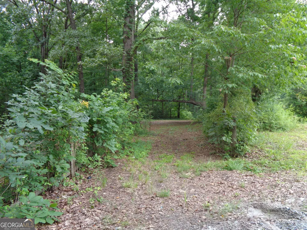 2411 Kesler RD Carnesville, GA 30521