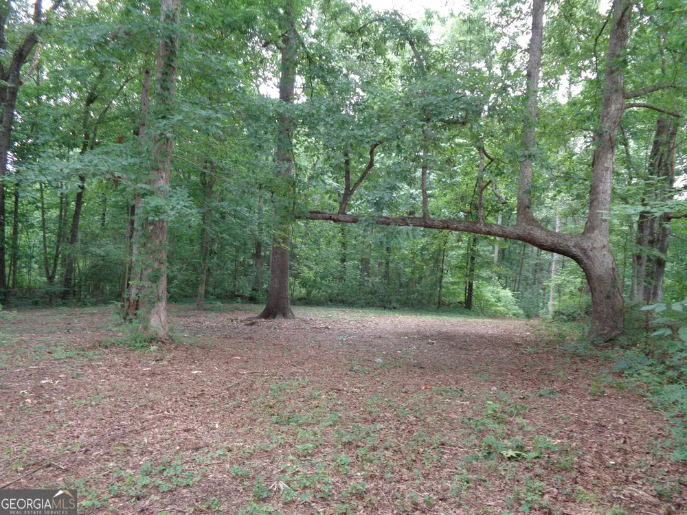 2411 Kesler RD Carnesville, GA 30521