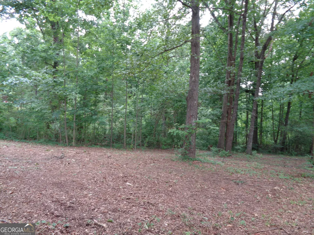 2411 Kesler RD Carnesville, GA 30521