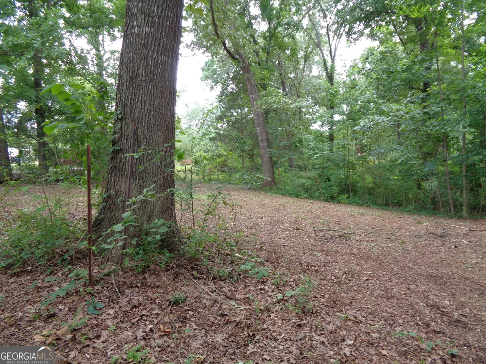 2411 Kesler RD Carnesville, GA 30521