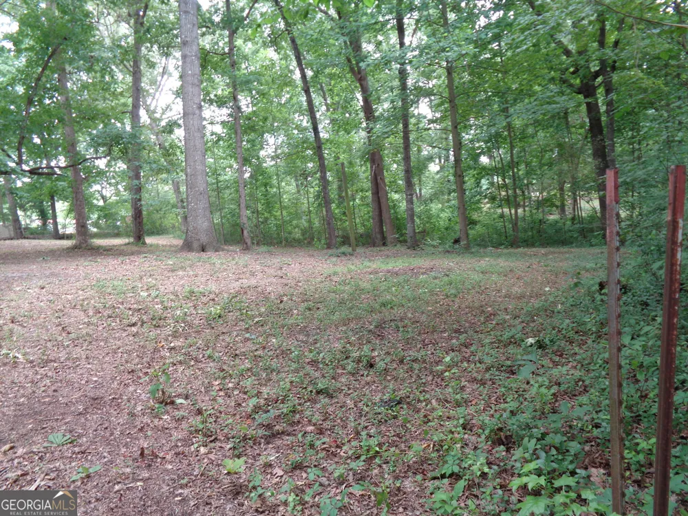 2411 Kesler RD Carnesville, GA 30521