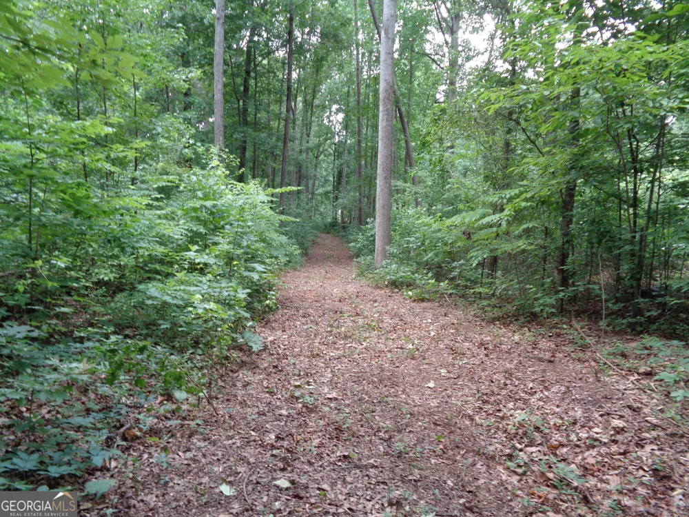 2411 Kesler RD Carnesville, GA 30521