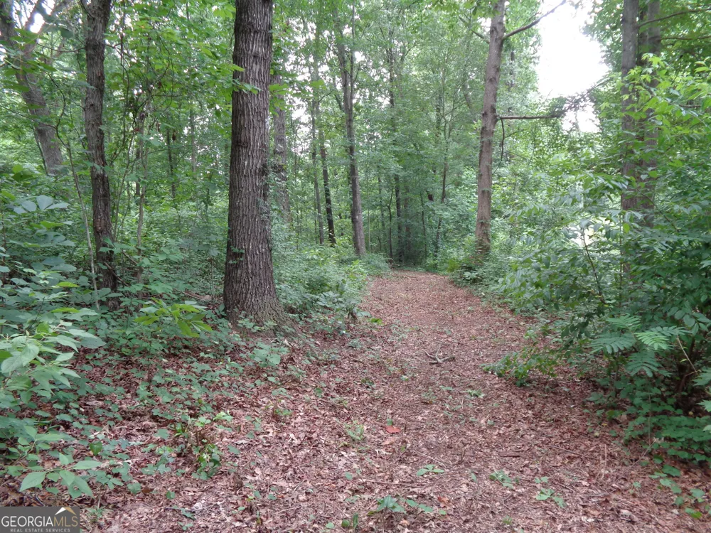 2411 Kesler RD Carnesville, GA 30521