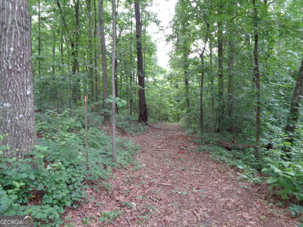 2411 Kesler RD Carnesville, GA 30521