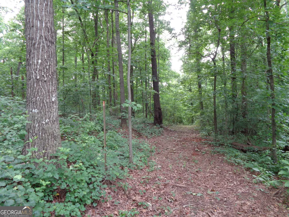 2411 Kesler RD Carnesville, GA 30521