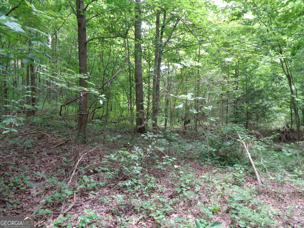 2411 Kesler RD Carnesville, GA 30521