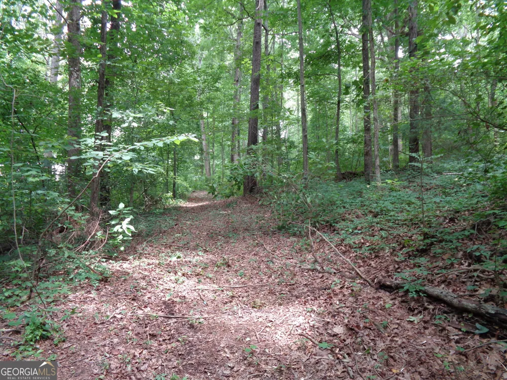 2411 Kesler RD Carnesville, GA 30521