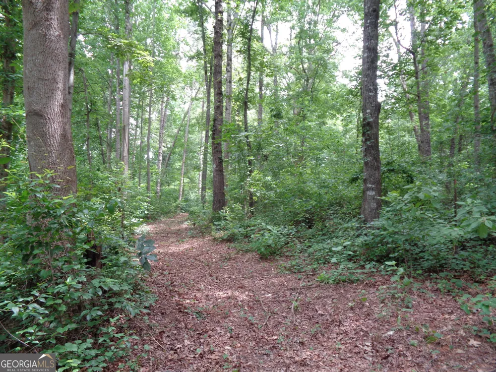 2411 Kesler RD Carnesville, GA 30521
