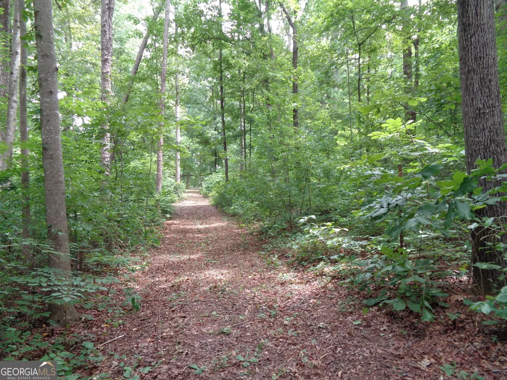 2411 Kesler RD Carnesville, GA 30521