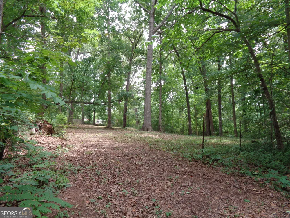 2411 Kesler RD Carnesville, GA 30521