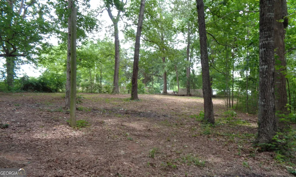 2411 Kesler RD Carnesville, GA 30521
