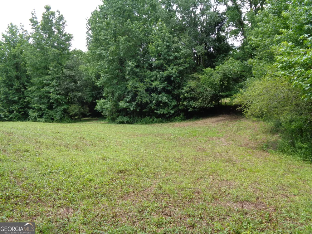 2411 Kesler RD Carnesville, GA 30521