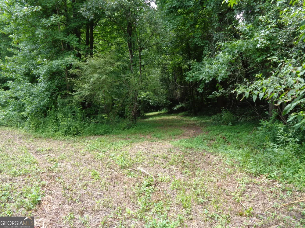 2411 Kesler RD Carnesville, GA 30521