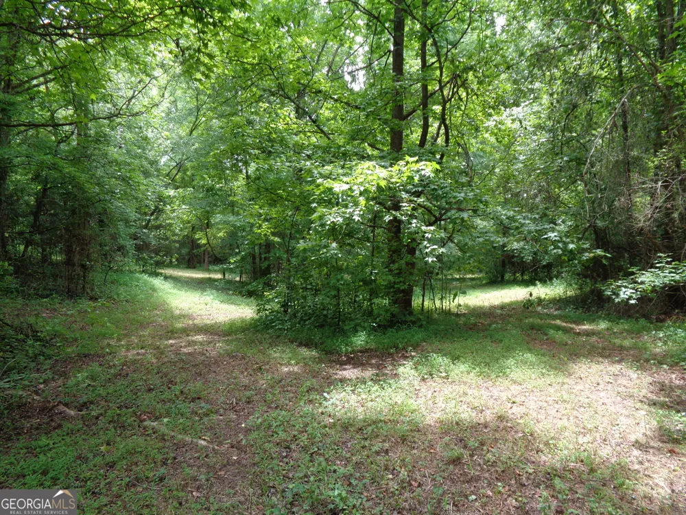 2411 Kesler RD Carnesville, GA 30521