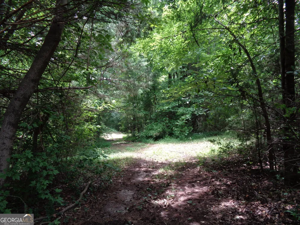 2411 Kesler RD Carnesville, GA 30521