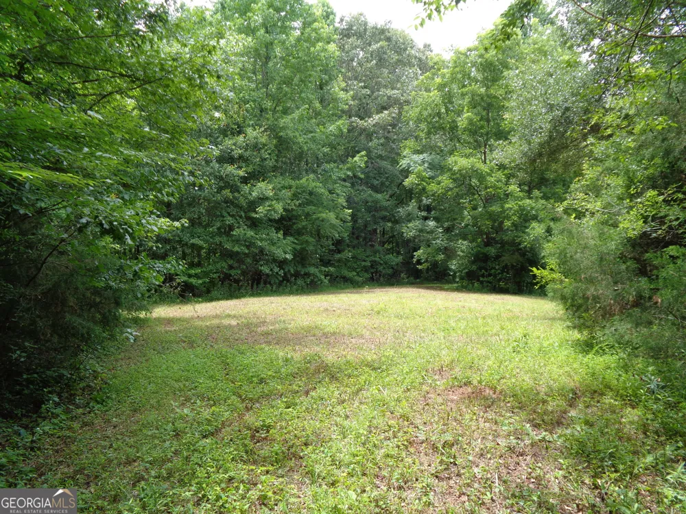 2411 Kesler RD Carnesville, GA 30521