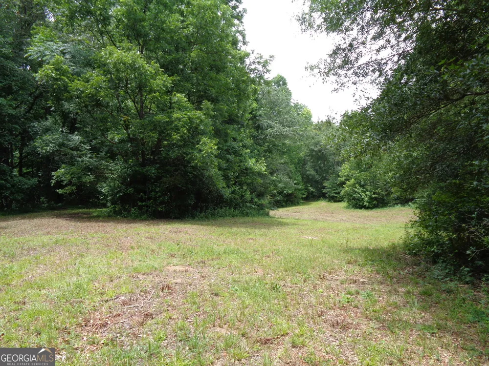2411 Kesler RD Carnesville, GA 30521