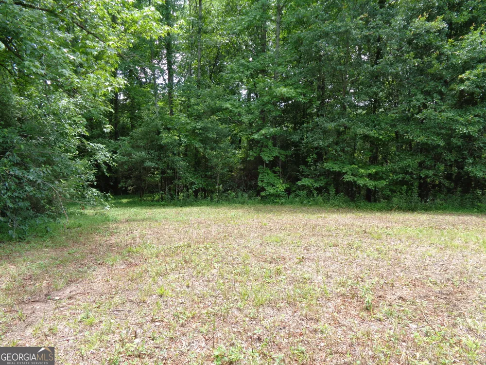 2411 Kesler RD Carnesville, GA 30521