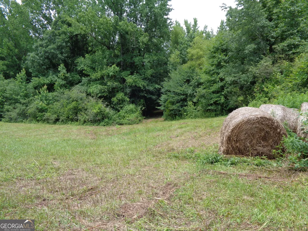 2411 Kesler RD Carnesville, GA 30521