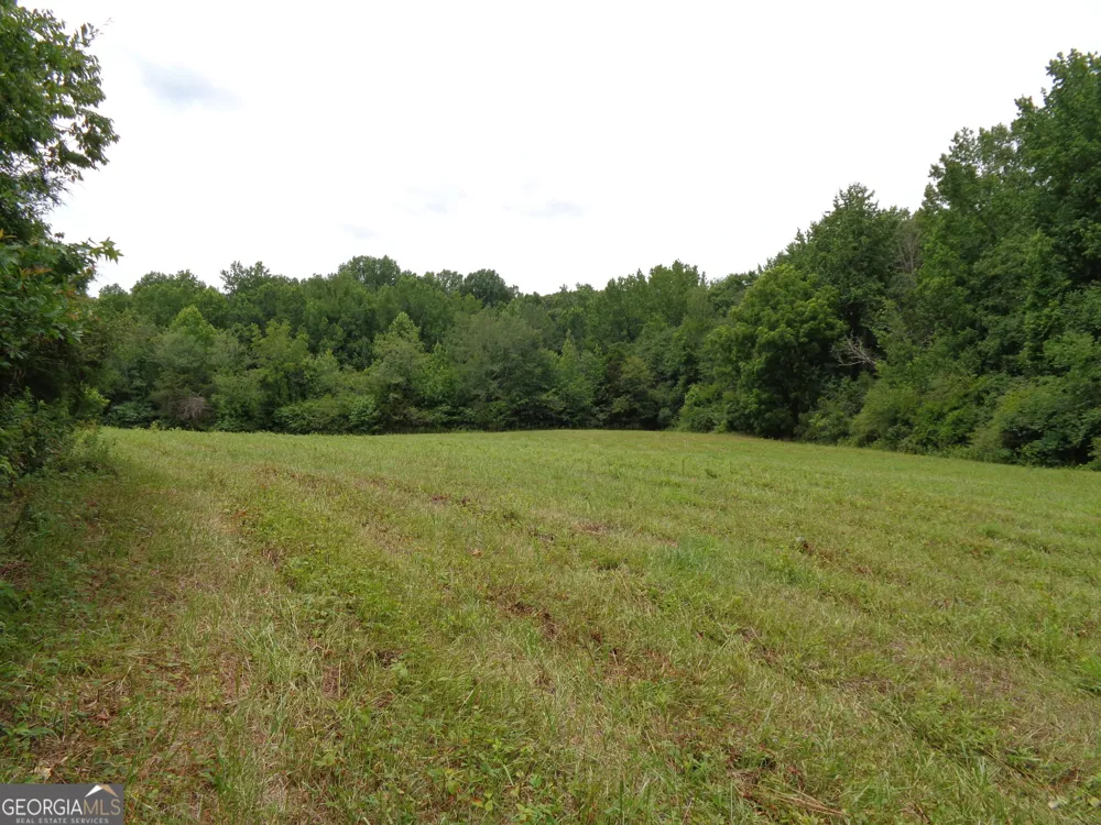 2411 Kesler RD Carnesville, GA 30521