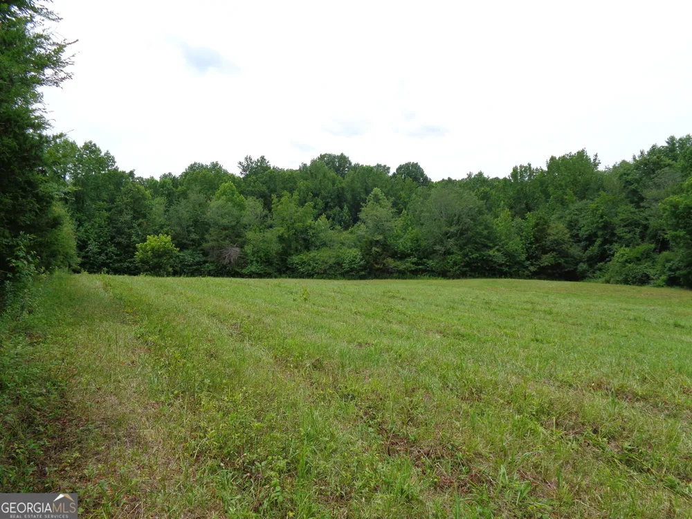 2411 Kesler RD Carnesville, GA 30521
