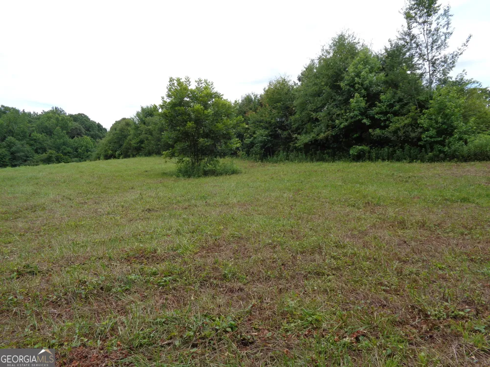 2411 Kesler RD Carnesville, GA 30521
