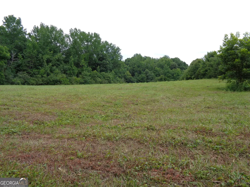 2411 Kesler RD Carnesville, GA 30521