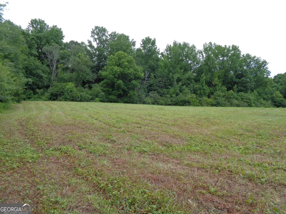 2411 Kesler RD Carnesville, GA 30521