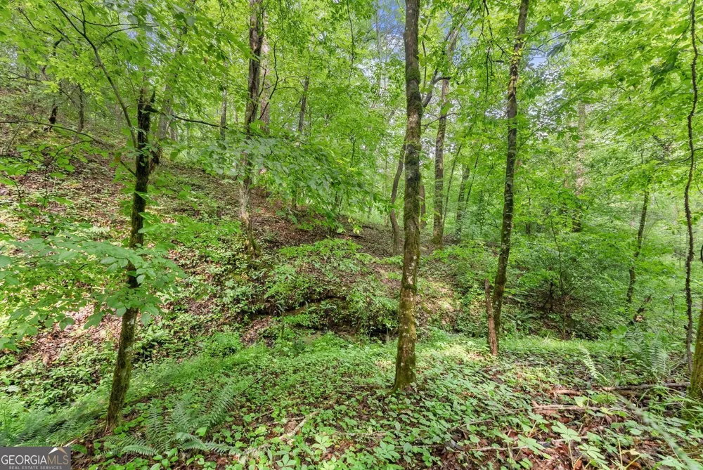 0 Long Branch RD Dahlonega, GA 30533