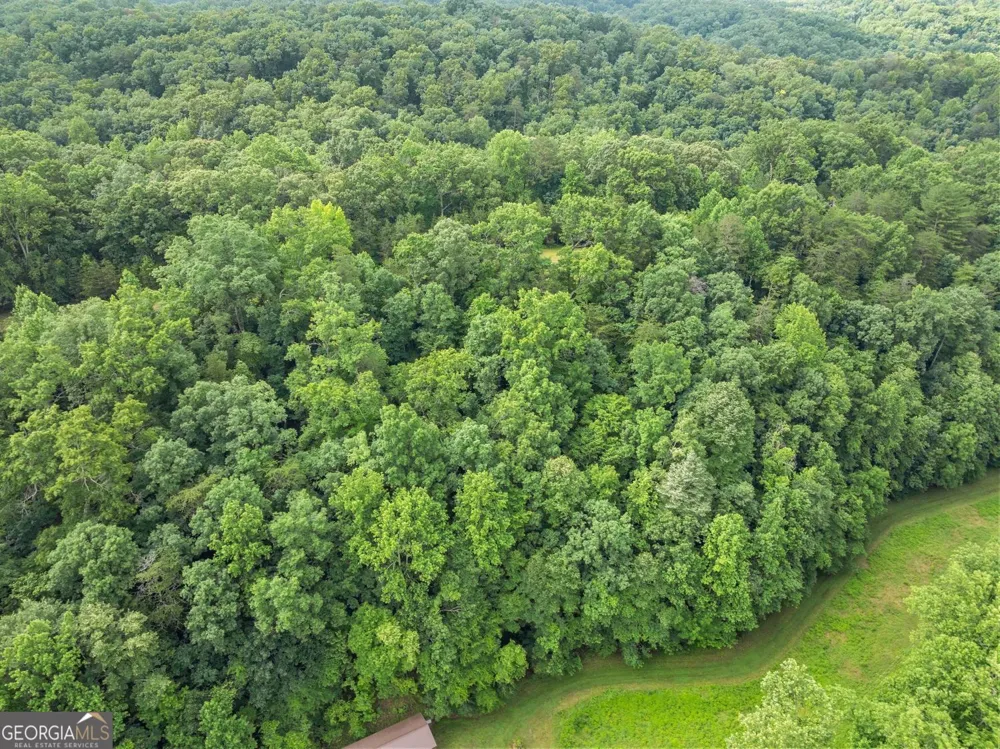 0 Long Branch RD Dahlonega, GA 30533