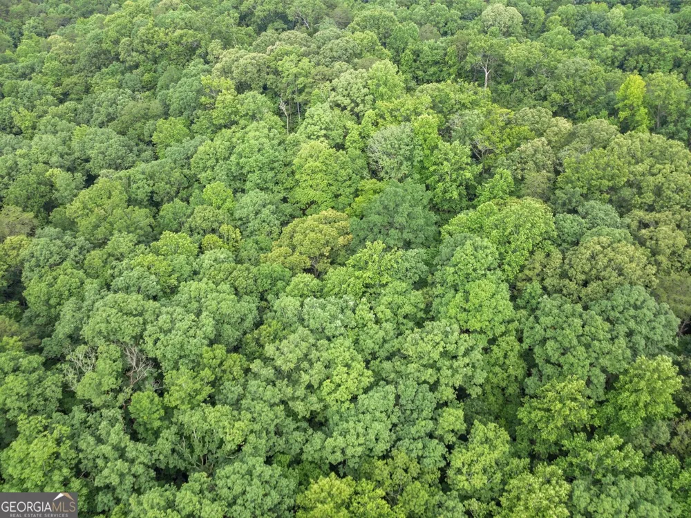 0 Long Branch RD Dahlonega, GA 30533