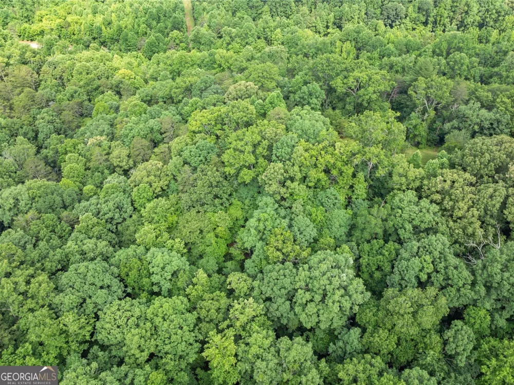 0 Long Branch RD Dahlonega, GA 30533