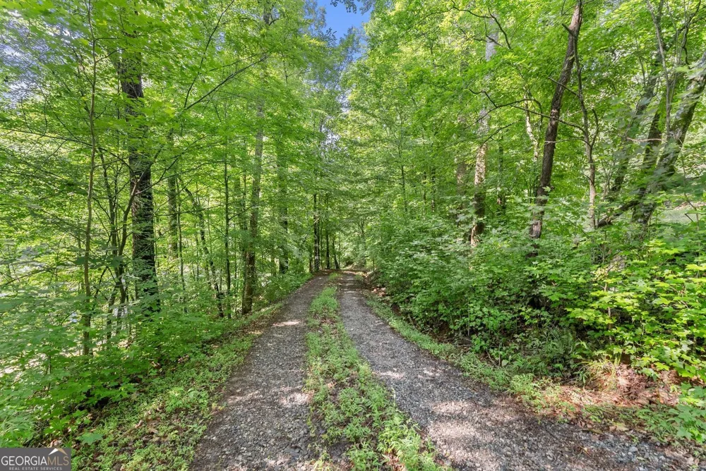 0 Long Branch RD Dahlonega, GA 30533