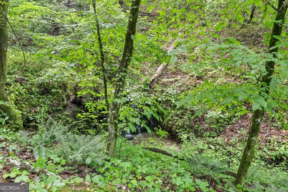 0 Long Branch RD Dahlonega, GA 30533