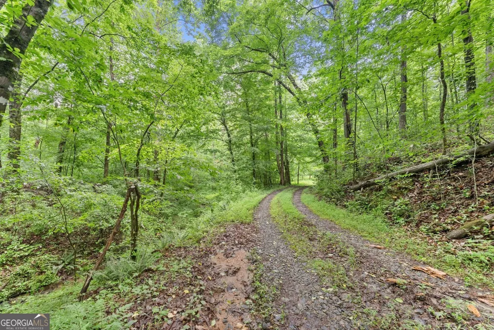 0 Long Branch RD Dahlonega, GA 30533
