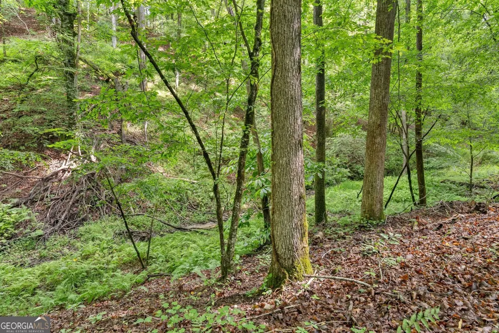 0 Long Branch RD Dahlonega, GA 30533