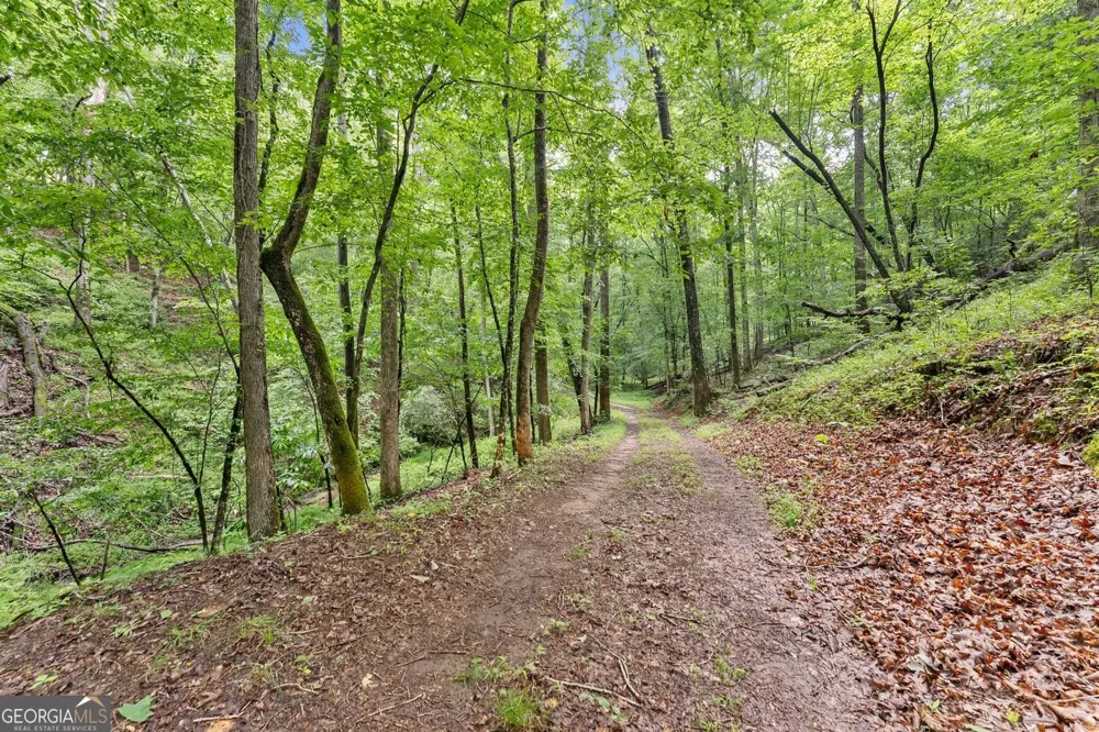 0 Long Branch RD Dahlonega, GA 30533