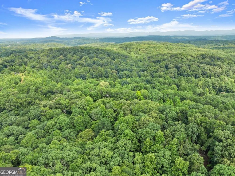 0 Long Branch RD Dahlonega, GA 30533