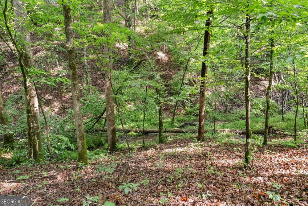 0 Long Branch RD Dahlonega, GA 30533