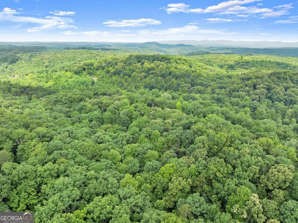 0 Long Branch RD Dahlonega, GA 30533