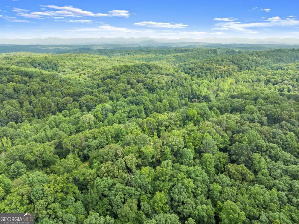 0 Long Branch RD Dahlonega, GA 30533