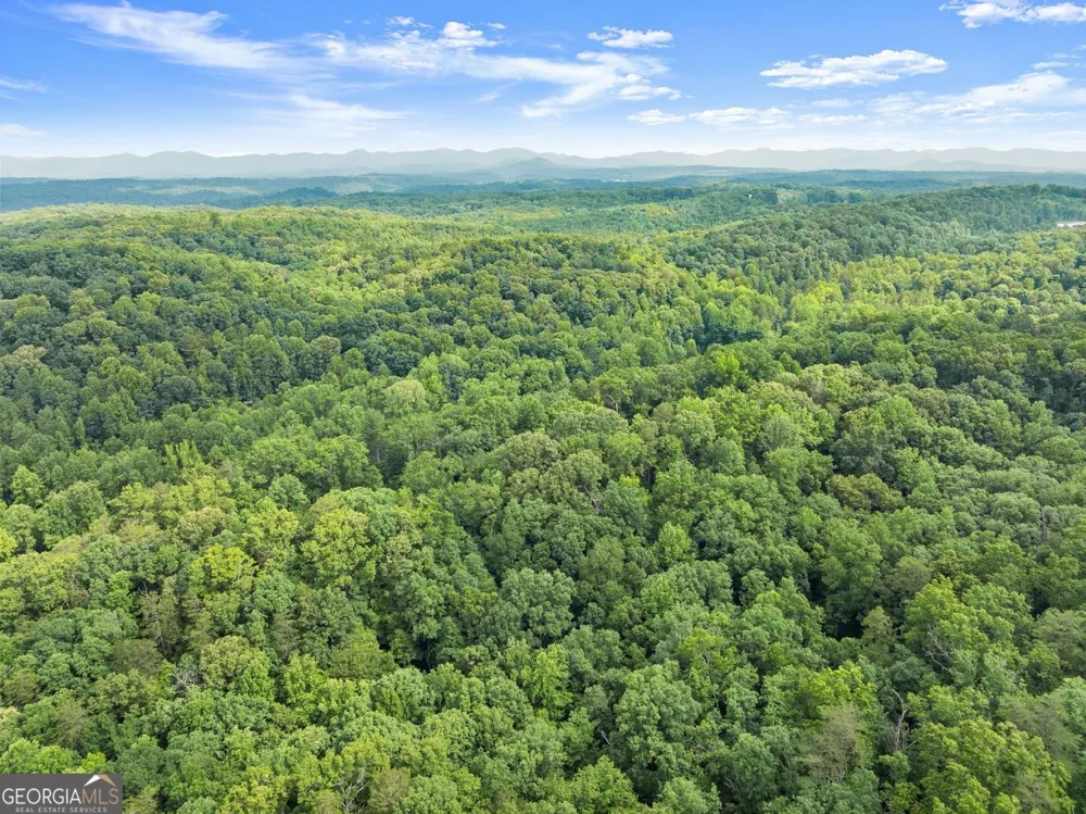 0 Long Branch RD Dahlonega, GA 30533